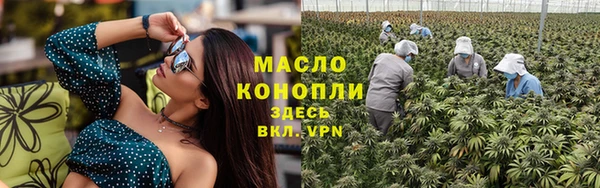 прущие грибы Алзамай