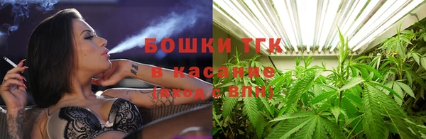 тгк Абаза